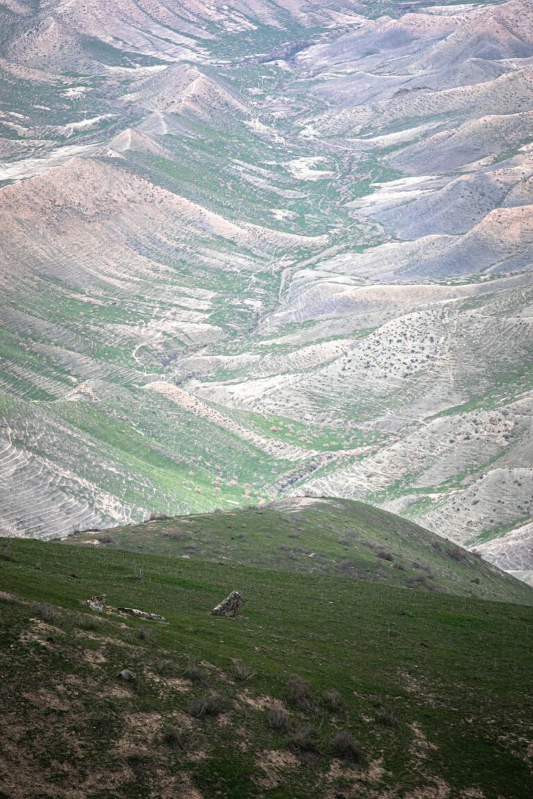 Pesca deportiva: una experiencia única