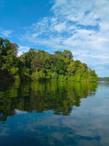 paisajes bahia golfito - copia